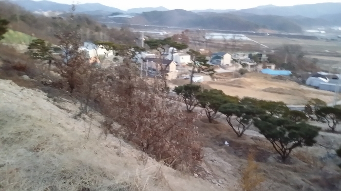 본건 동측에서 