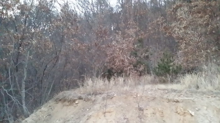 본건 남서측에서