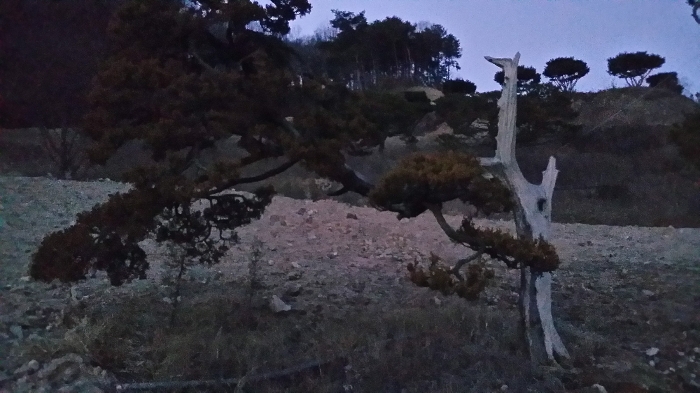 본건 남측인근에