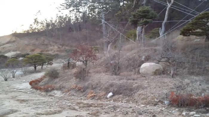 본건 남동측에서