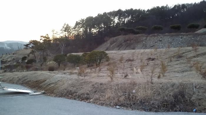 본건 동측 인접