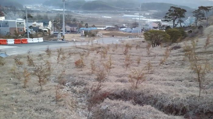 본건 남측 주위