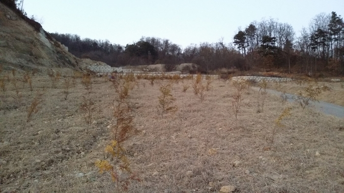 본건 북동측 주