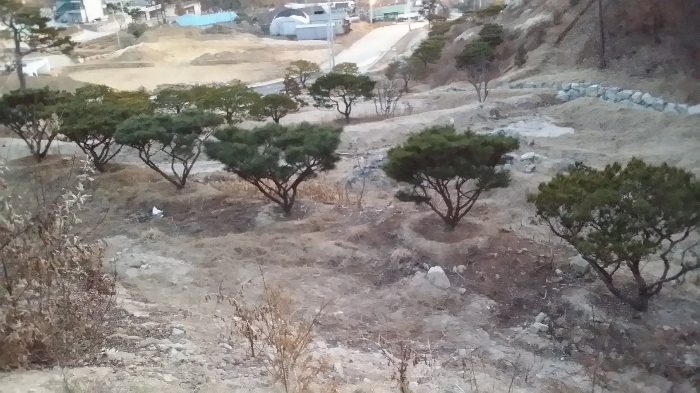 본건 남서측 주