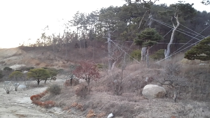 본건 남서측 주