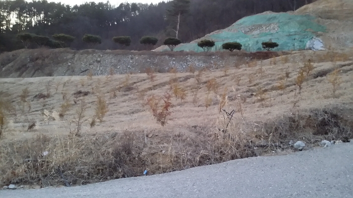 본건 동측 인접