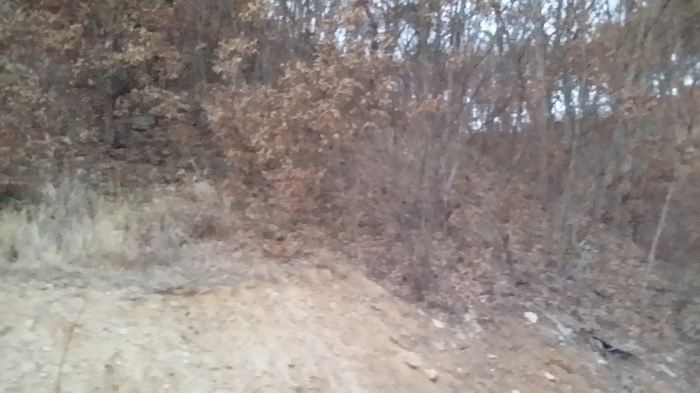 본건 남서측에서