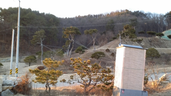 본건 남동측 인