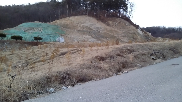 본건 동측 인근