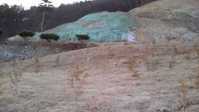 본건 동측 경계