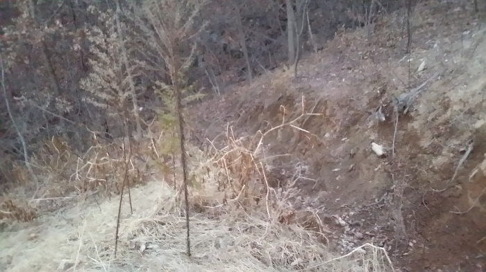 본건 남서측에서