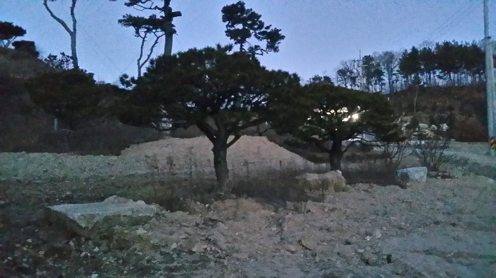 본건 남측인근에