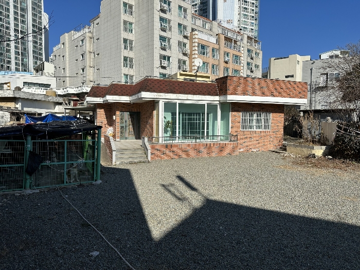 본건 및 건물 전경