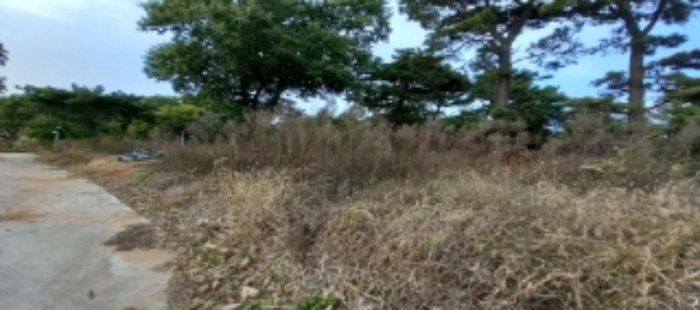 목록9 토지 일부 전경