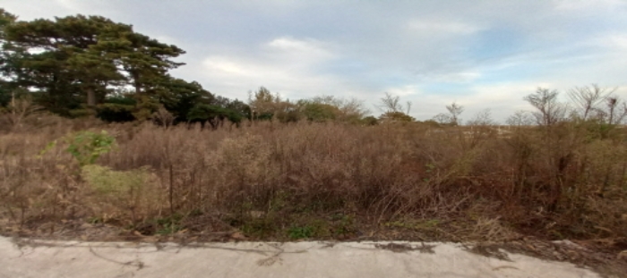 목록3,4 토지 전경