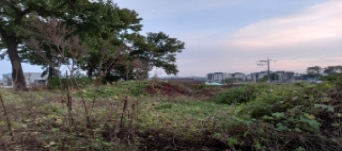목록10 토지 일부 전경
