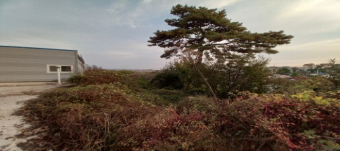 목록10 토지 일부 전경