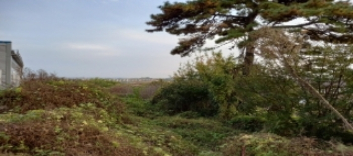 목록10 토지 일부 전경