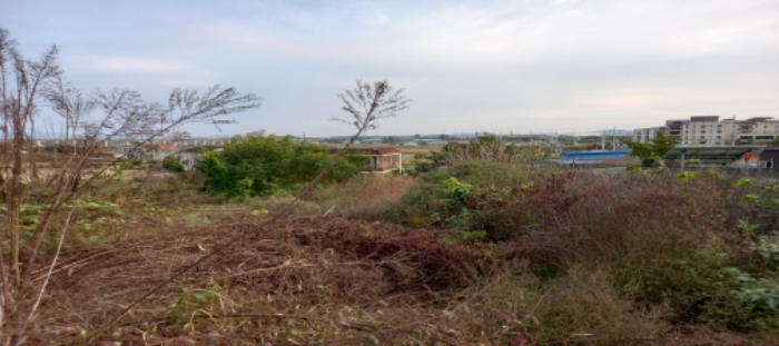 목록10 토지 일부 전경