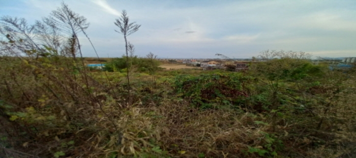 목록5 토지 전경