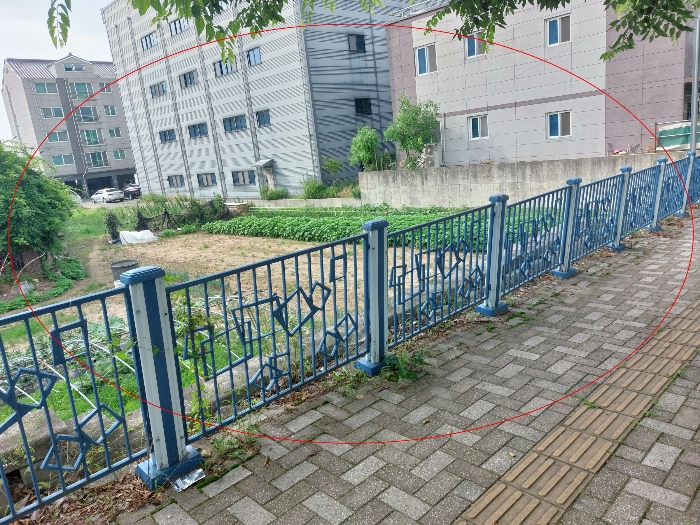 경상남도 밀양시 가곡동 479
남동측으로 접한 도로에서 본 전경