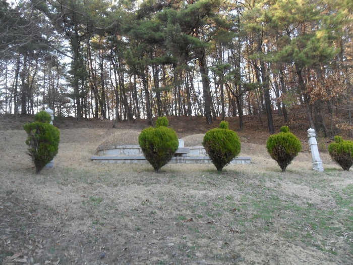 인접지 경계상 분묘