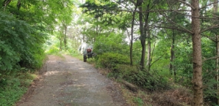1번 부동산 지상 시멘트도로