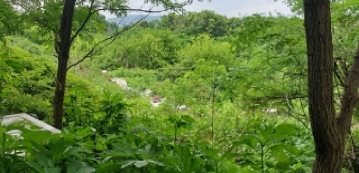 1,2번 부동산 전경