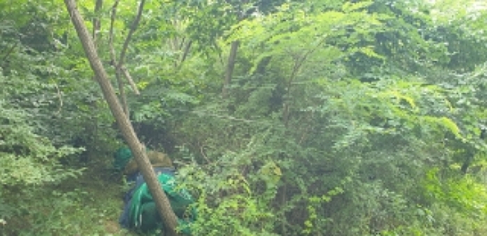 3번 부동산 전경