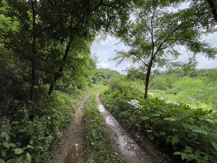 본건 전경