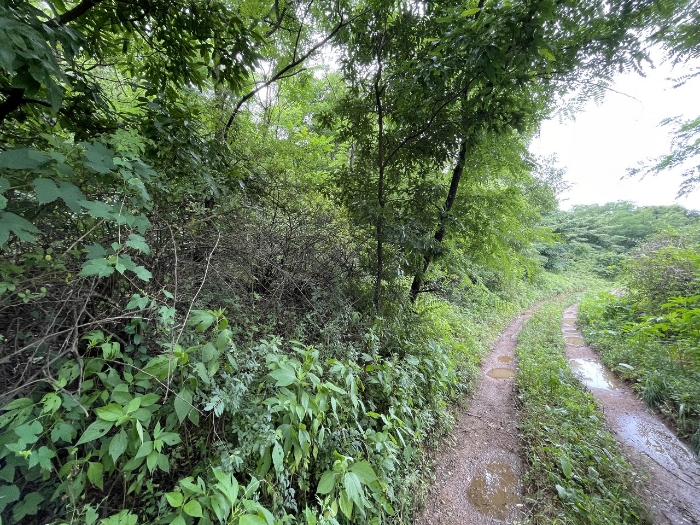 기호(3) 전경