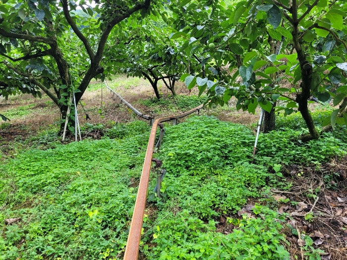 제시외 기계기구 (a)