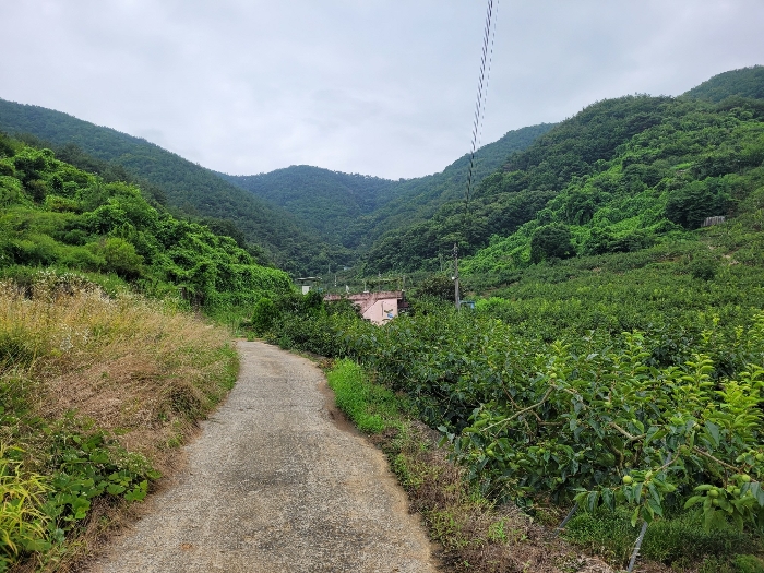 본건 원경 및 주위 전경