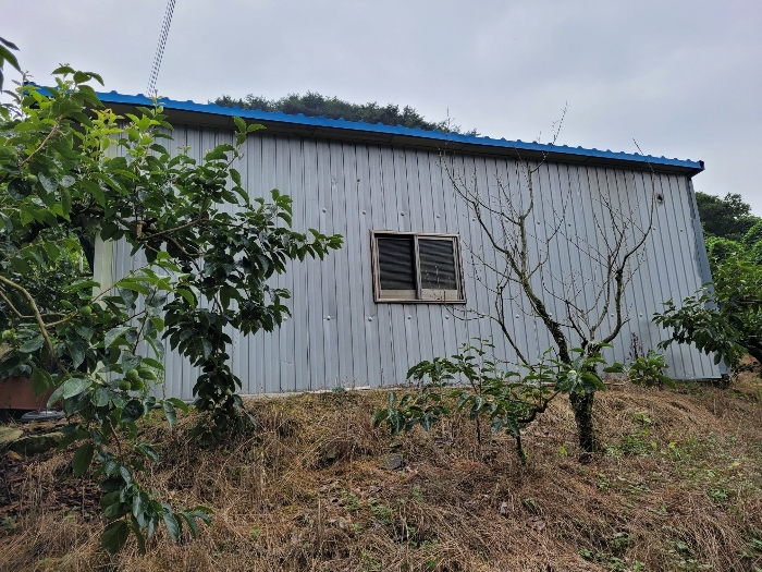 제시외 건물 (ㄱ)