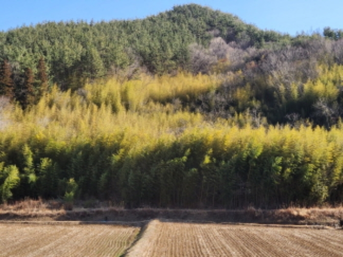 본건 1, 9, 10, 28, 29, 30, 38