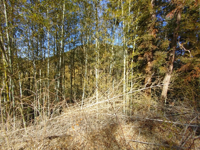 기호 1 토지전경