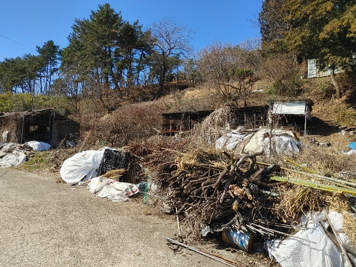 기호 5 토지전경