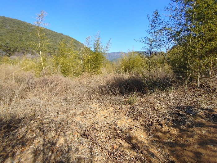 기호 9 토지전경