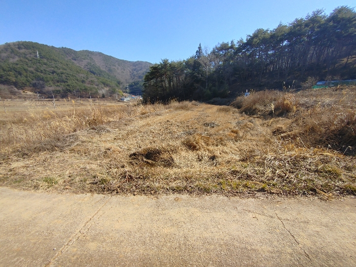 기호 17 토지전경