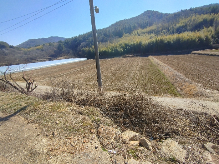 기호 21 토지전경