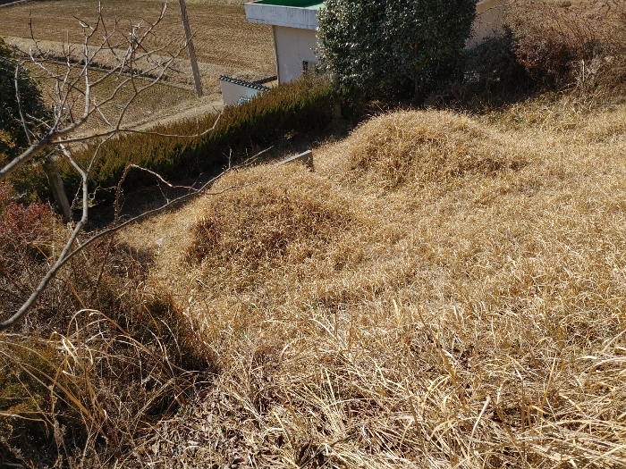 기호35) 토지상의 분묘