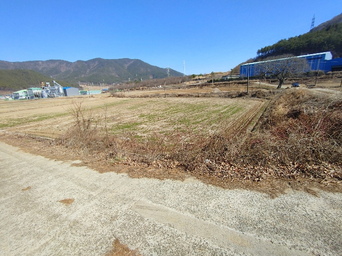 기호 25 토지전경