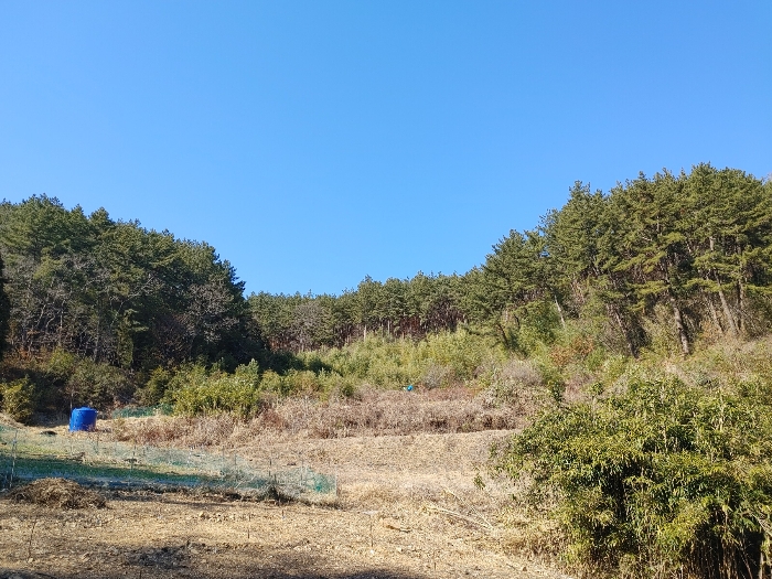 기호 37 토지전경