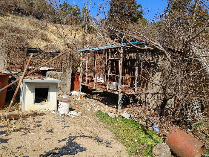 기호 ㅂ, ㅅ 제시외물건