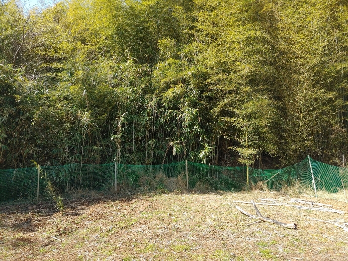 기호 3 토지전경