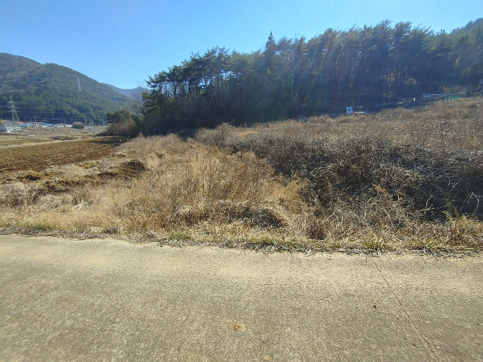 기호 7 토지전경