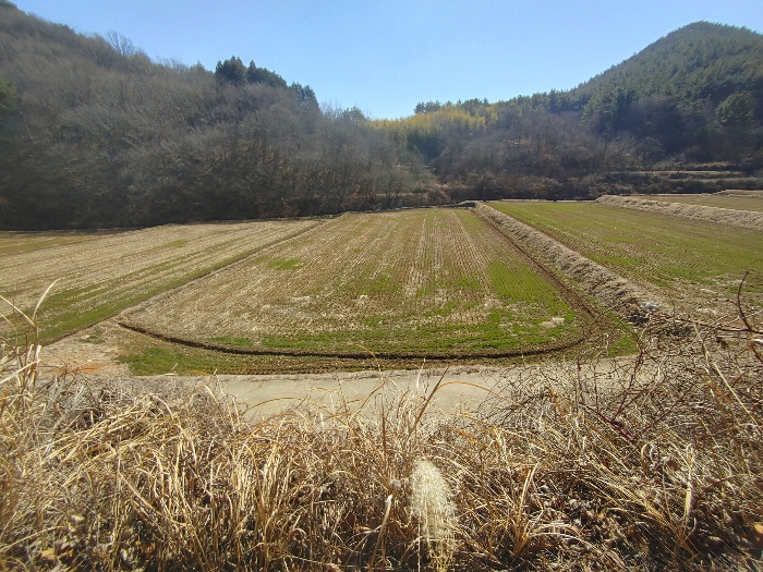 기호 11 토지전경