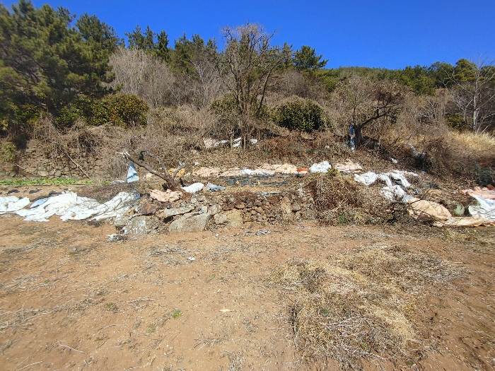 기호 15 토지전경