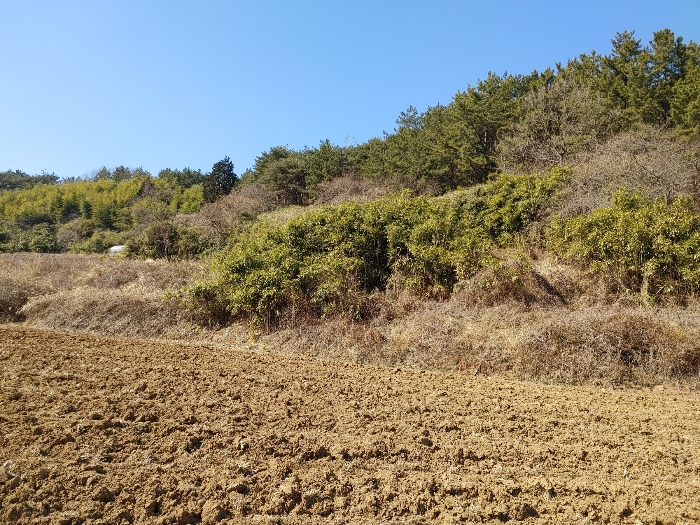 기호 19 토지전경