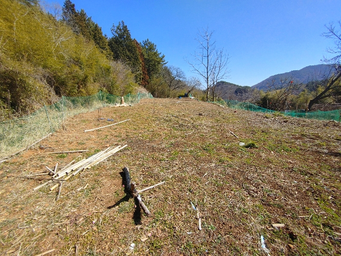 기호 31 토지전경